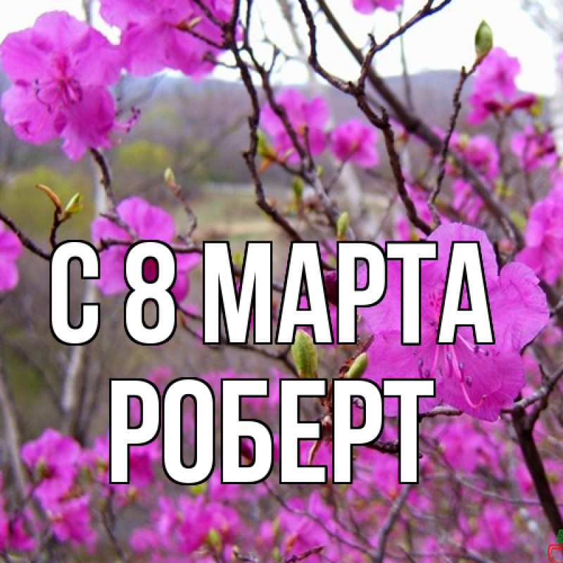 Картинка C 8 МАРТА, Роберт
