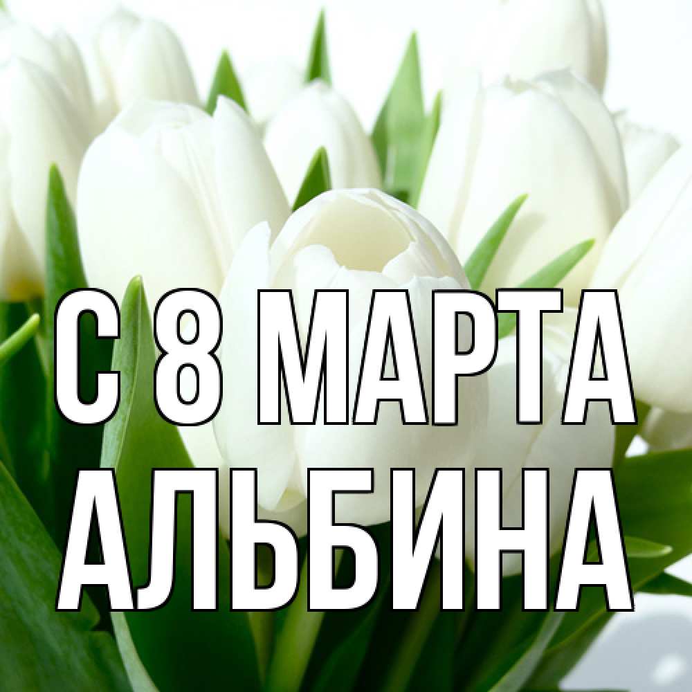 Открытка на каждый день с именем, Альбина C 8 МАРТА цветы Прикольная открытка с пожеланием онлайн скачать бесплатно 