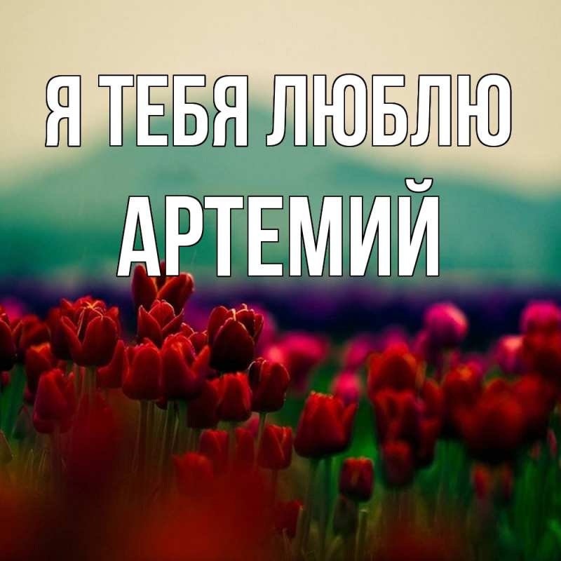 Картинка Я тебя люблю, Артемий