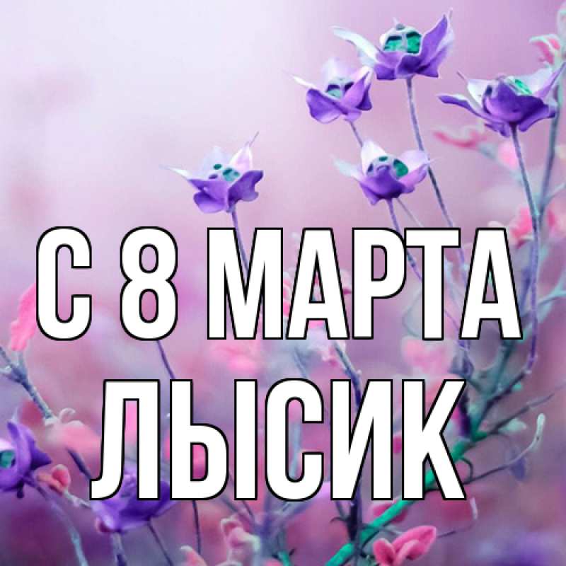 Картинка C 8 МАРТА, Лысик