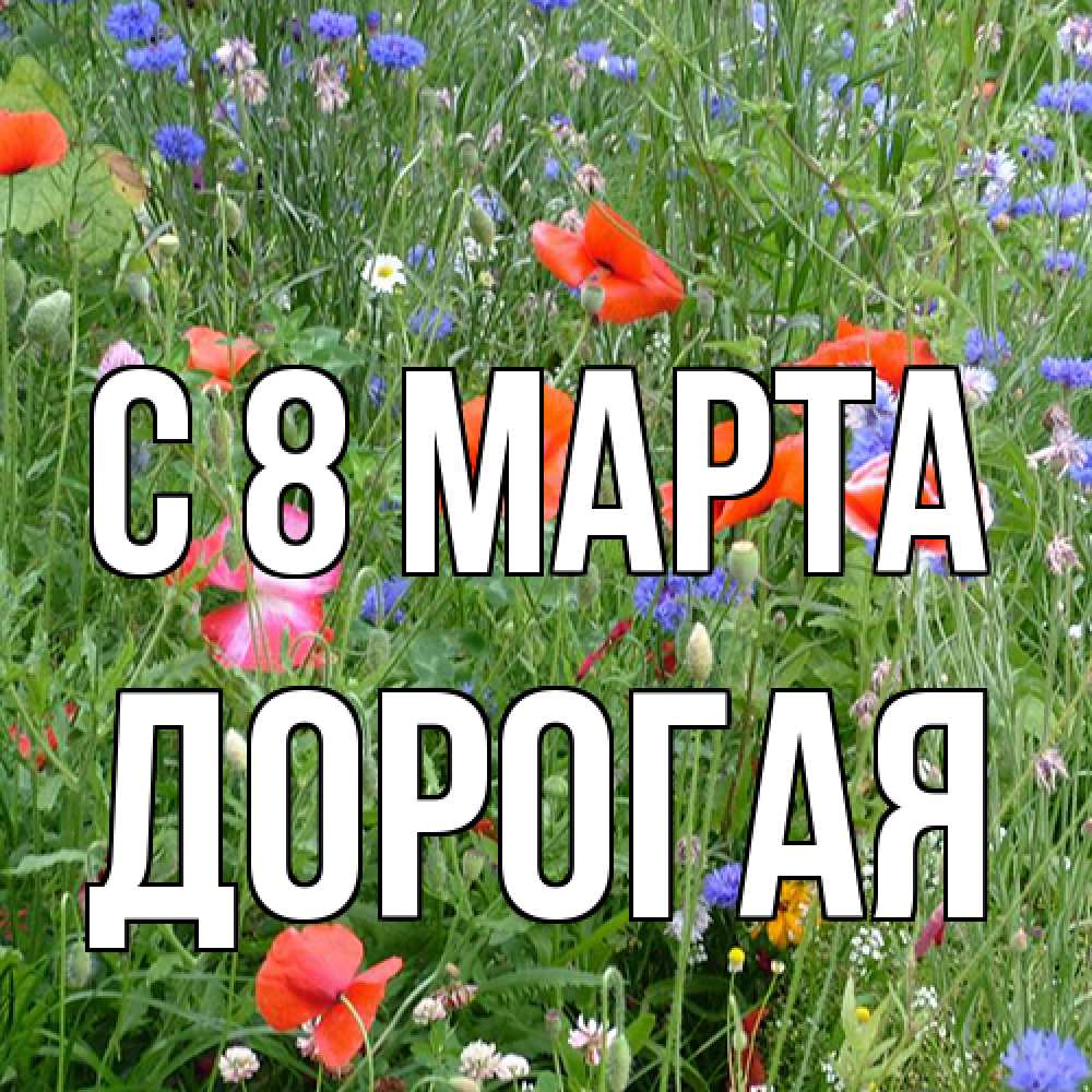 Открытка на каждый день с именем, Дорогая C 8 МАРТА международный женский день 4 Прикольная открытка с пожеланием онлайн скачать бесплатно 