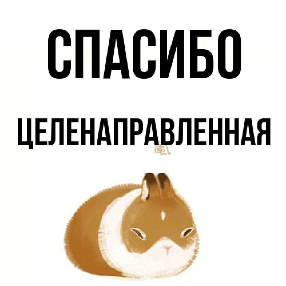 Открытка на каждый день с именем, целенаправленная Спасибо коричнево белый домашний питомец Прикольная открытка с пожеланием онлайн скачать бесплатно 