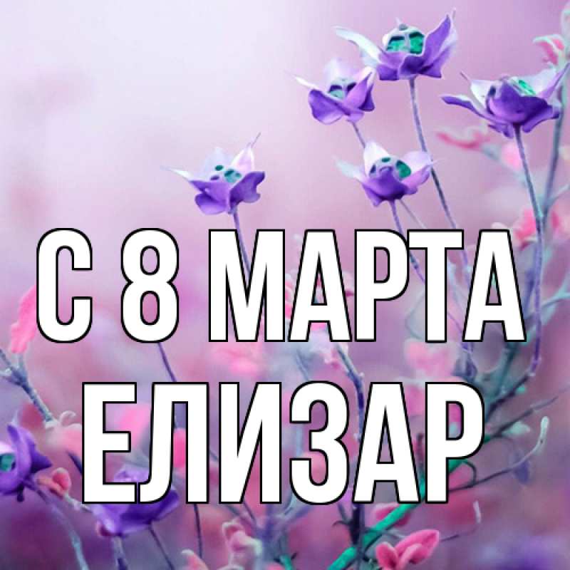 Картинка C 8 МАРТА, Елизар
