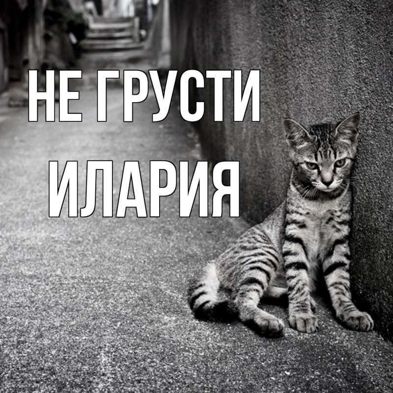 Картинка Не грусти, Илария