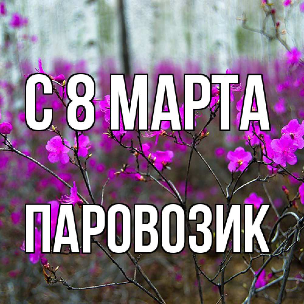 Открытка на каждый день с именем, паровозик C 8 МАРТА дикие цветы Прикольная открытка с пожеланием онлайн скачать бесплатно 