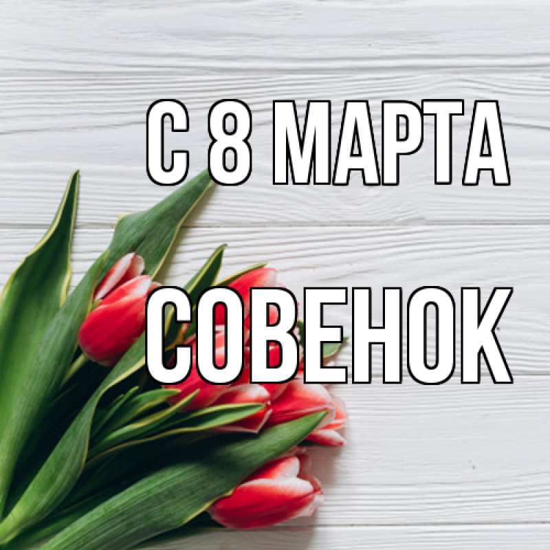 Картинка C 8 МАРТА, совенок