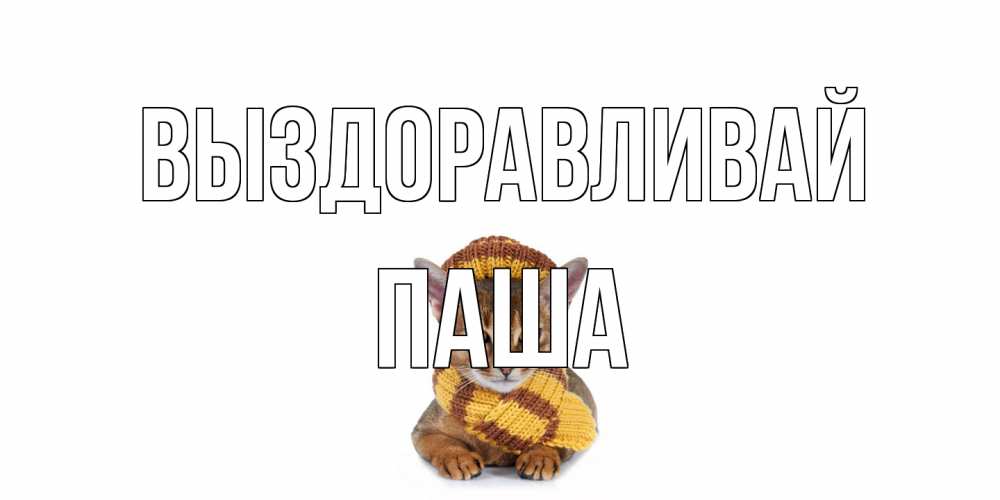 Открытка на каждый день с именем, Паша Выздоравливай родные не болейте Прикольная открытка с пожеланием онлайн скачать бесплатно 