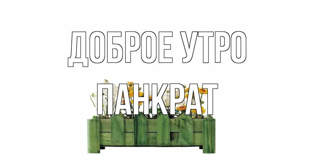 Открытка на каждый день с именем, Панкрат Доброе утро цветы Прикольная открытка с пожеланием онлайн скачать бесплатно 