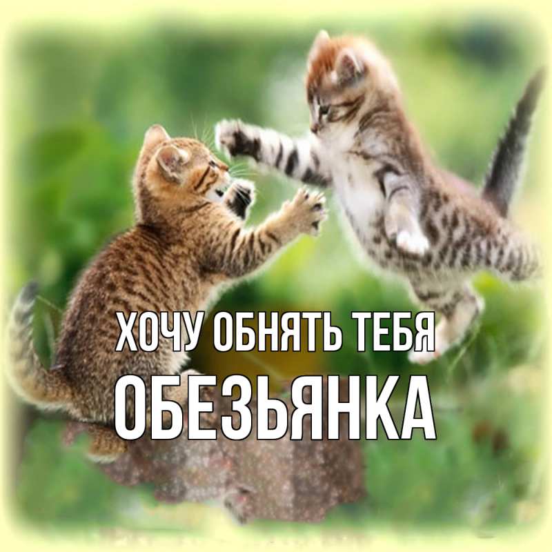 Картинка Хочу обнять тебя, Обезьянка