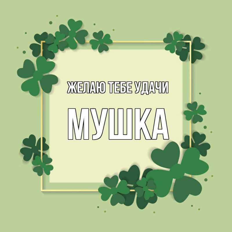 Картинка Желаю тебе удачи, мушка