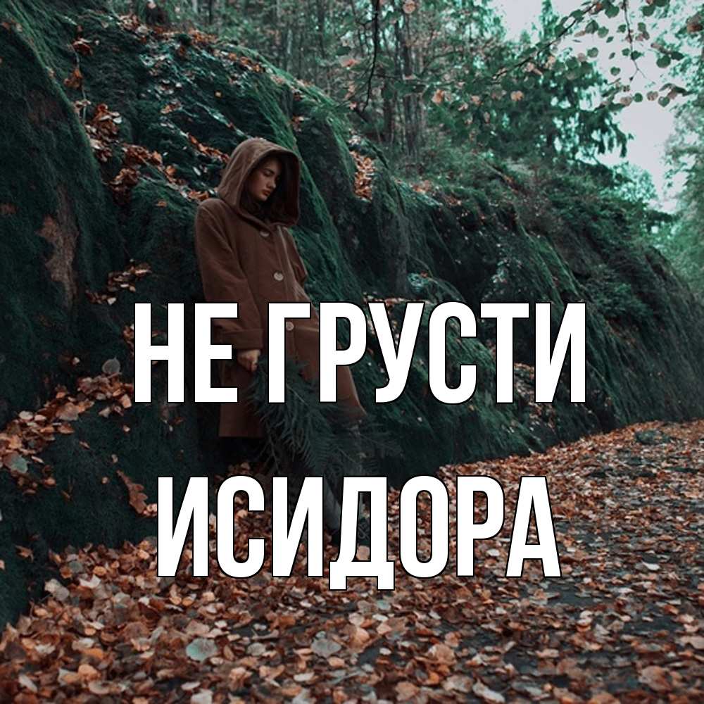 Открытка на каждый день с именем, Исидора Не грусти осенний лес Прикольная открытка с пожеланием онлайн скачать бесплатно 