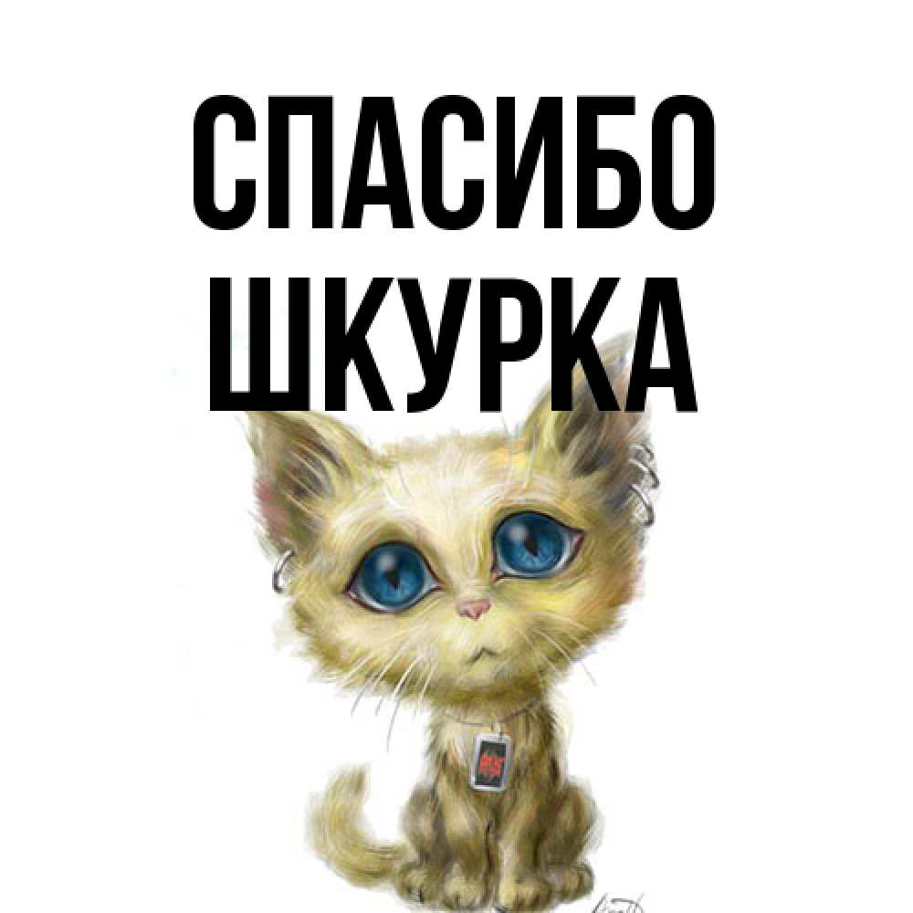Открытка на каждый день с именем, Шкурка Спасибо рисованный кот благодарит вас Прикольная открытка с пожеланием онлайн скачать бесплатно 