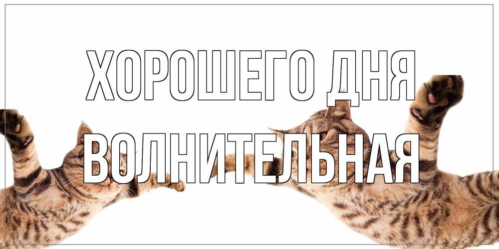 Открытка на каждый день с именем, волнительная Хорошего дня хорошего дня Прикольная открытка с пожеланием онлайн скачать бесплатно 