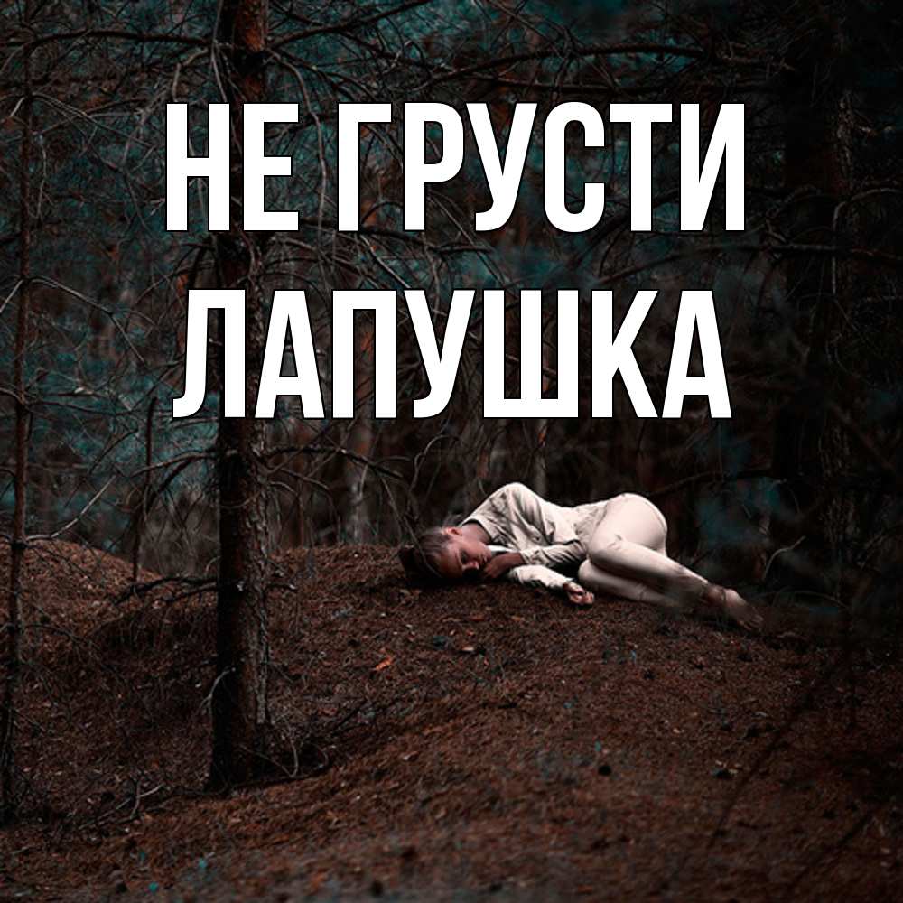 Открытка на каждый день с именем, лапушка Не грусти лес Прикольная открытка с пожеланием онлайн скачать бесплатно 