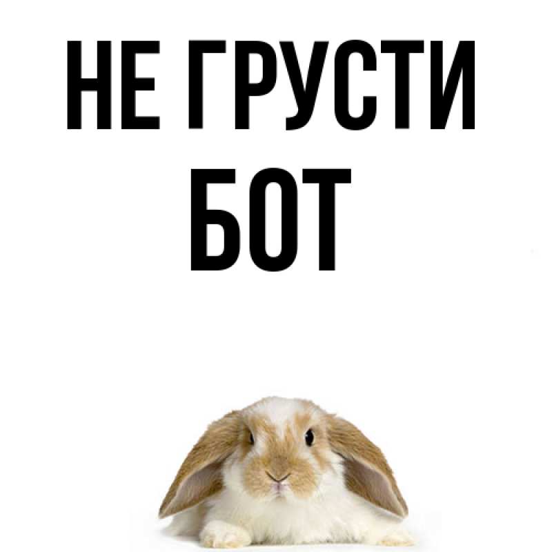 Картинка Не грусти, Бот