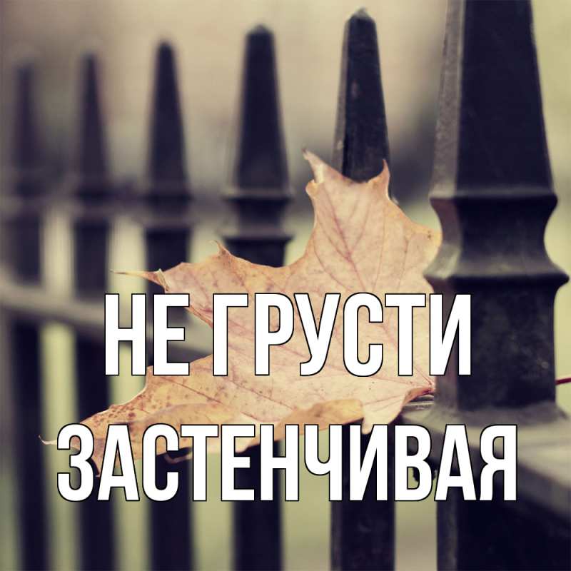 Картинка Не грусти, Застенчивая