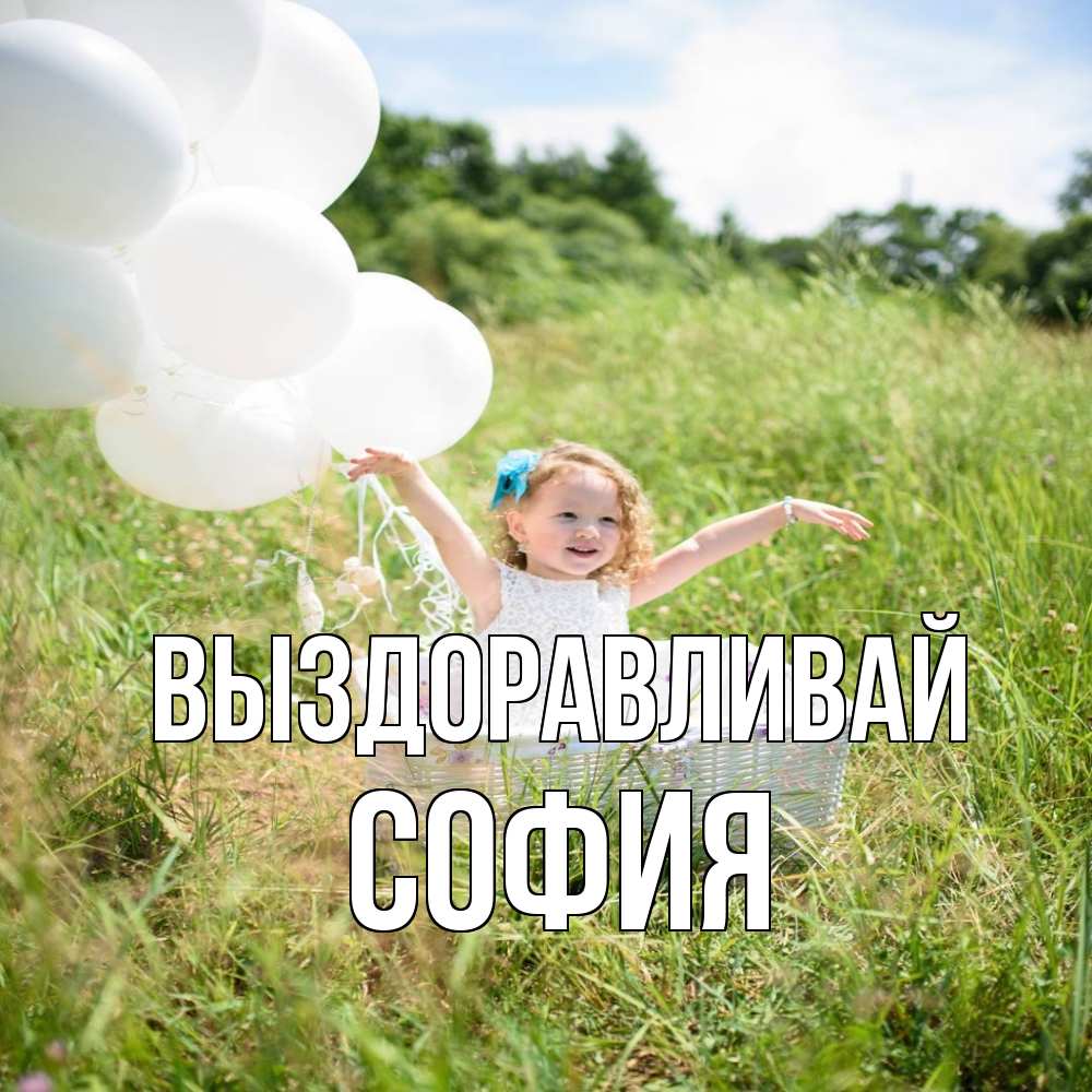 Открытка на каждый день с именем, София Выздоравливай девочка сидит в корзине наверное от этого больной должен выздороветь Прикольная открытка с пожеланием онлайн скачать бесплатно 