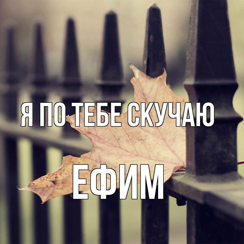 Открытка на каждый день с именем, Ефим Я по тебе скучаю очень скучно Прикольная открытка с пожеланием онлайн скачать бесплатно 