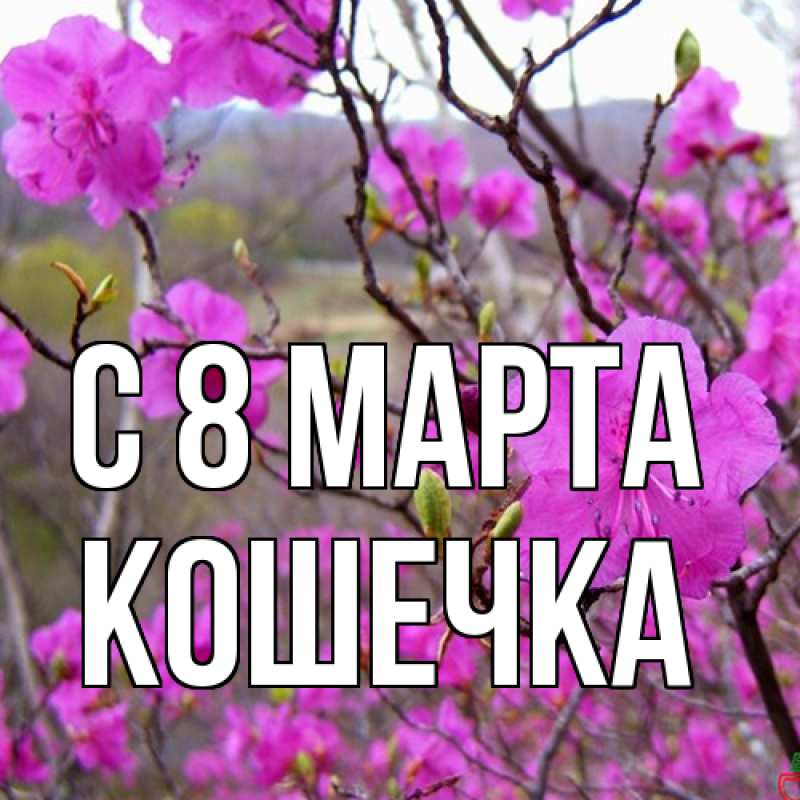 Картинка C 8 МАРТА, кошечка