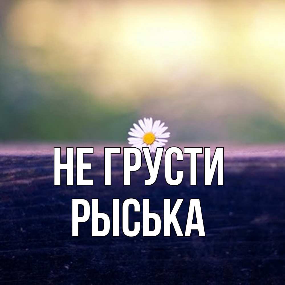 Открытка на каждый день с именем, Рыська Не грусти красота Прикольная открытка с пожеланием онлайн скачать бесплатно 