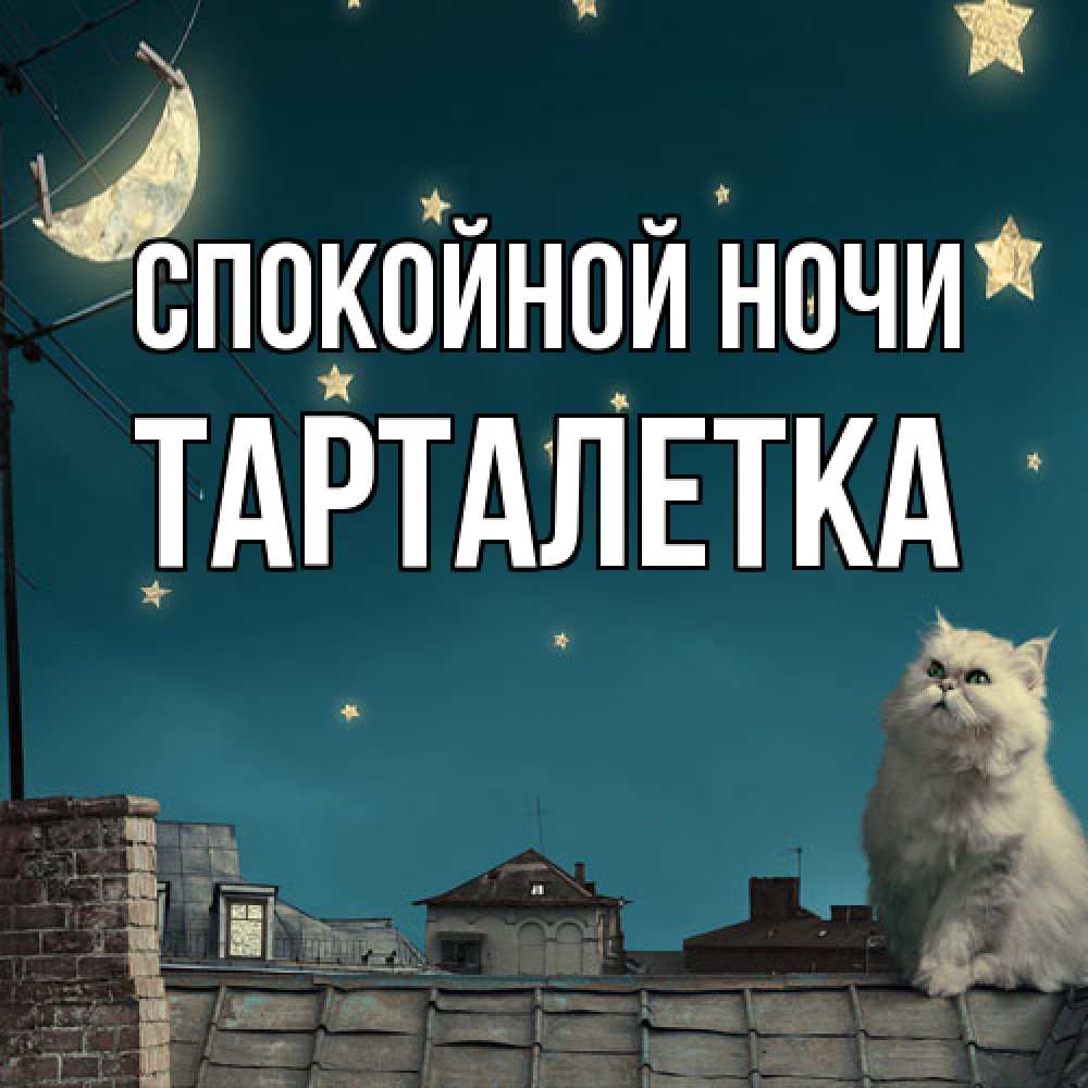 Открытка на каждый день с именем, Тарталетка Спокойной ночи белый кот сидит на крыше Прикольная открытка с пожеланием онлайн скачать бесплатно 