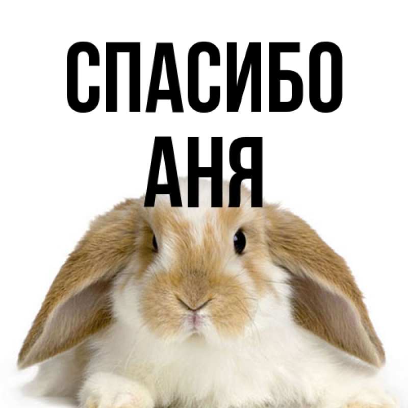 Картинка Спасибо, Аня