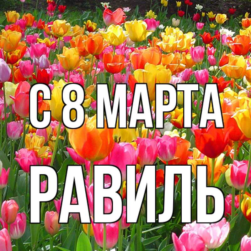 Картинка C 8 МАРТА, Равиль