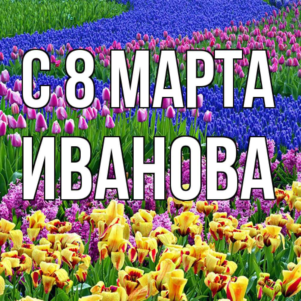 Открытка на каждый день с именем, Иванова C 8 МАРТА цветы Прикольная открытка с пожеланием онлайн скачать бесплатно 