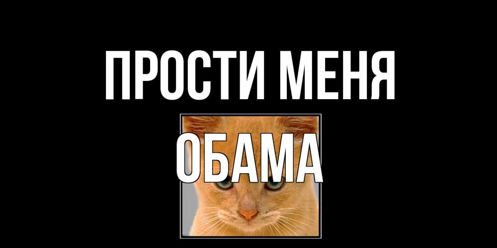Открытка на каждый день с именем, Обама Прости меня рыжий грустный кот просит прощения Прикольная открытка с пожеланием онлайн скачать бесплатно 