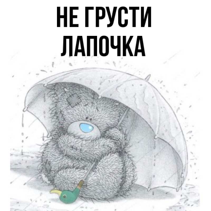 Картинка Не грусти, лапочка