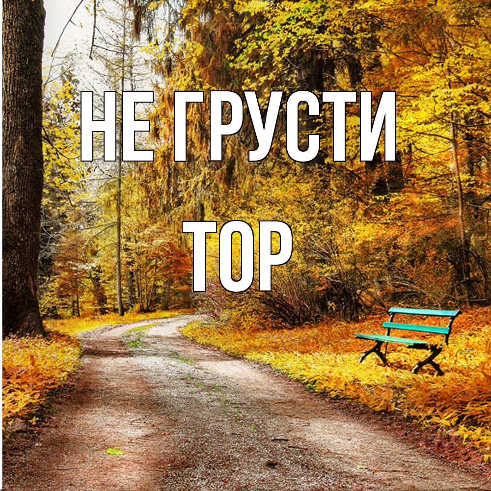 Открытка на каждый день с именем, Тор Не грусти зеленая лавочка Прикольная открытка с пожеланием онлайн скачать бесплатно 