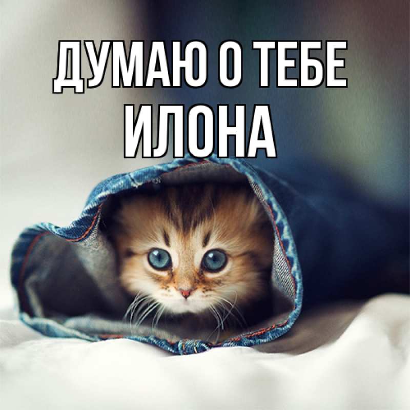Картинка Думаю о тебе, Илона