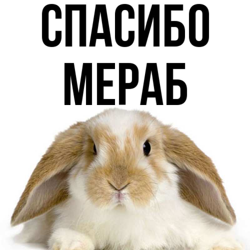 Картинка Спасибо, Мераб