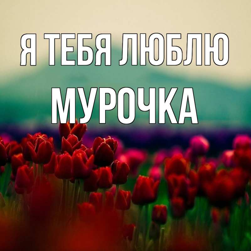 Картинка Я тебя люблю, Мурочка
