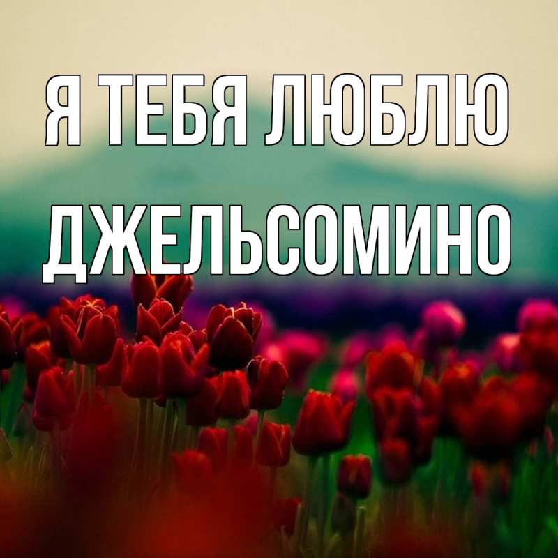 Картинка Я тебя люблю, Джельсомино