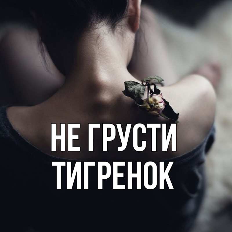 Картинка Не грусти, Тигpенок