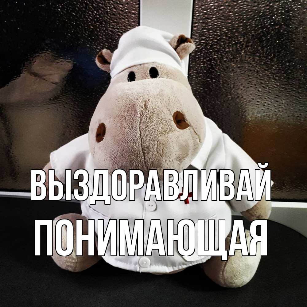 Открытка на каждый день с именем, Понимающая Выздоравливай всех излечит исцелит Прикольная открытка с пожеланием онлайн скачать бесплатно 