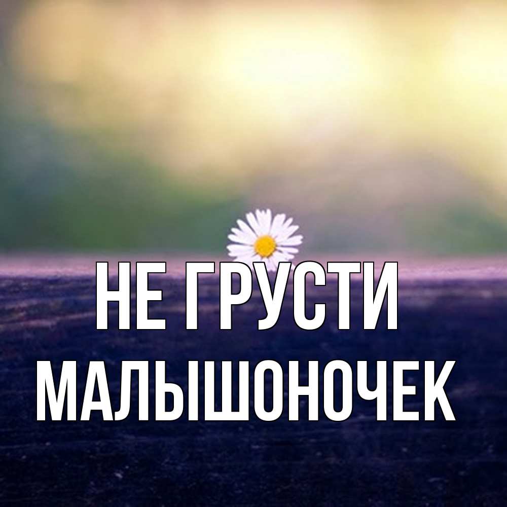 Открытка на каждый день с именем, Малышоночек Не грусти красота Прикольная открытка с пожеланием онлайн скачать бесплатно 