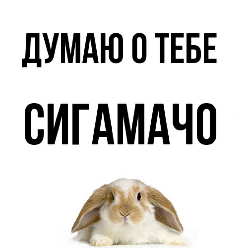 Картинка Думаю о тебе, Сигамачо