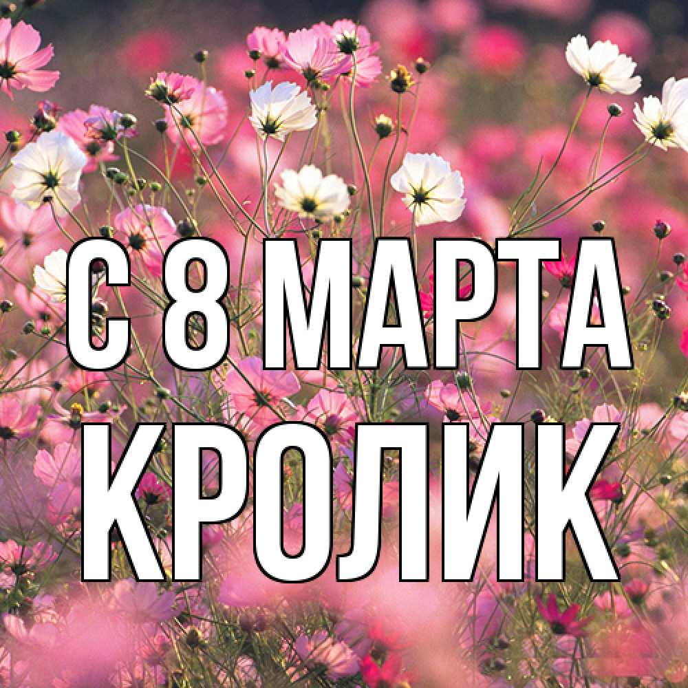 Открытка на каждый день с именем, кролик C 8 МАРТА красиво 1 Прикольная открытка с пожеланием онлайн скачать бесплатно 