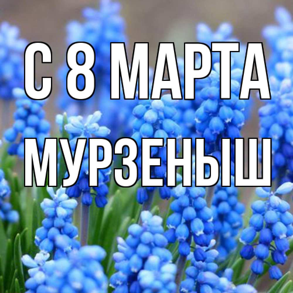 Открытка на каждый день с именем, мурзеныш C 8 МАРТА Поздравительная открытка для женщин с цветами на праздничную дату Прикольная открытка с пожеланием онлайн скачать бесплатно 