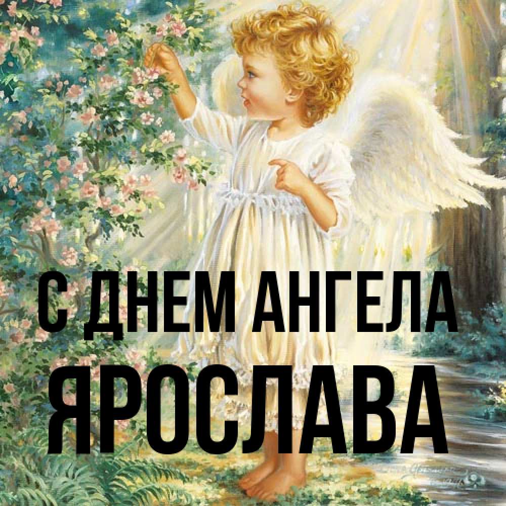 Открытка на каждый день с именем, Ярослава С днем ангела собирает цветы Прикольная открытка с пожеланием онлайн скачать бесплатно 