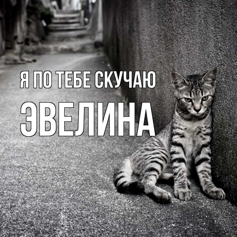 Открытка с именем, Эвелина, Я по тебе скучаю