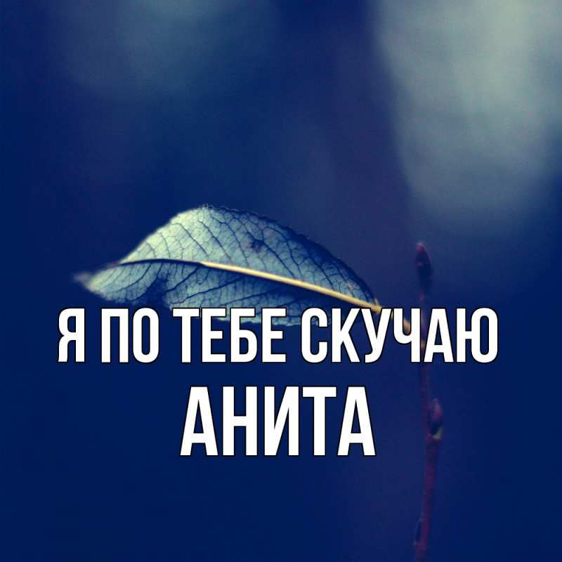 Картинка Я по тебе скучаю, Анита