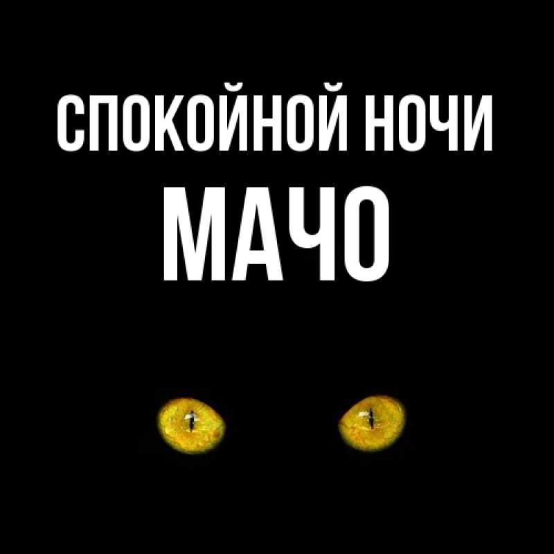 Картинка Спокойной ночи, Мачо