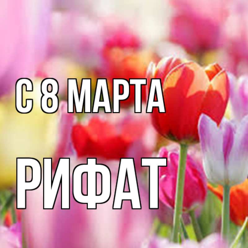 Картинка C 8 МАРТА, Рифат