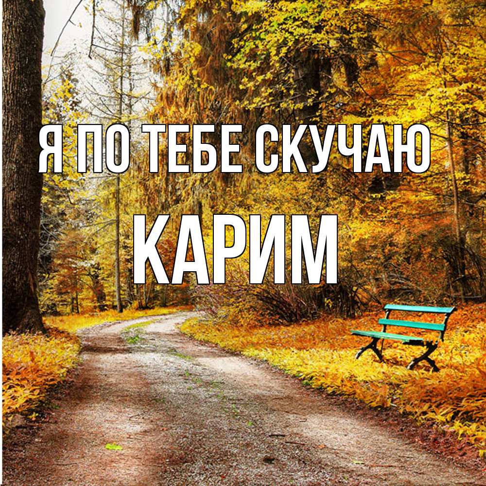 Открытка на каждый день с именем, Карим Я по тебе скучаю зеленая лавочка и осенний лес Прикольная открытка с пожеланием онлайн скачать бесплатно 