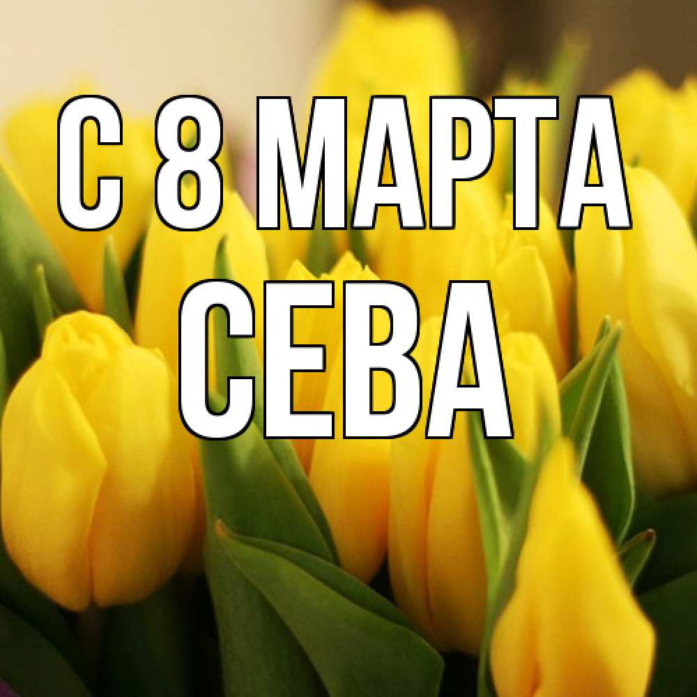 Открытка на каждый день с именем, Сева C 8 МАРТА цветы Прикольная открытка с пожеланием онлайн скачать бесплатно 