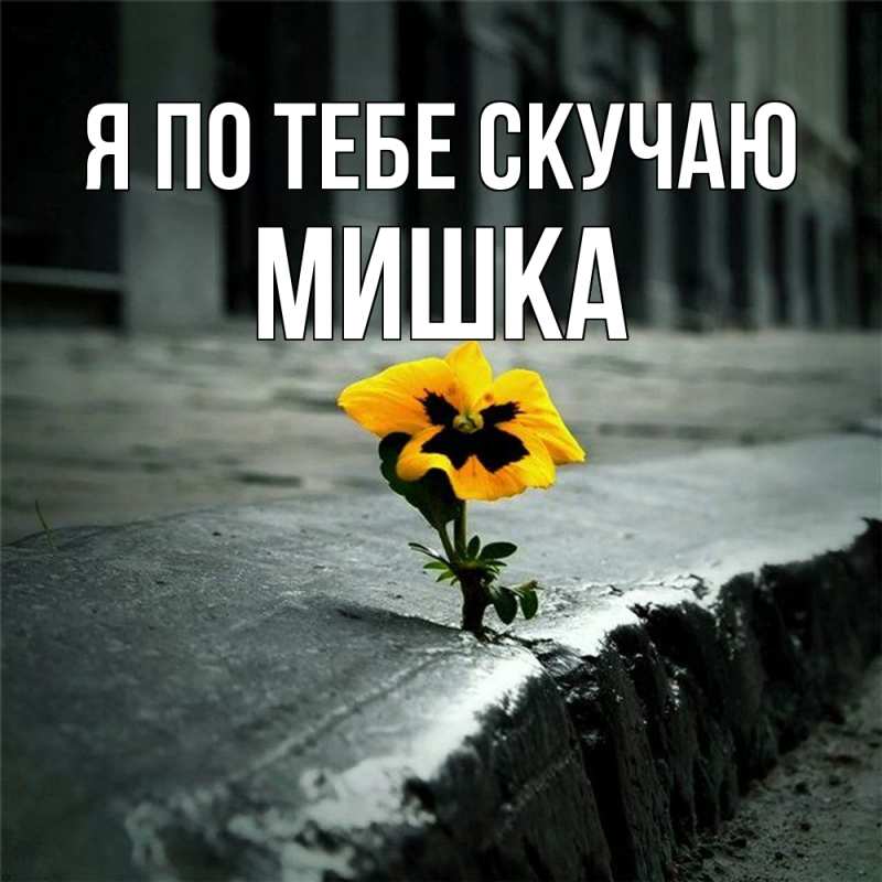 Картинка Я по тебе скучаю, Мишка