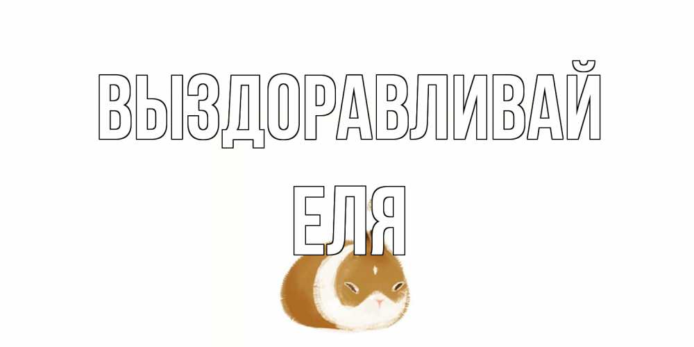 Открытка на каждый день с именем, Еля Выздоравливай морская свинка на открытке с пожеланиями не болеть Прикольная открытка с пожеланием онлайн скачать бесплатно 